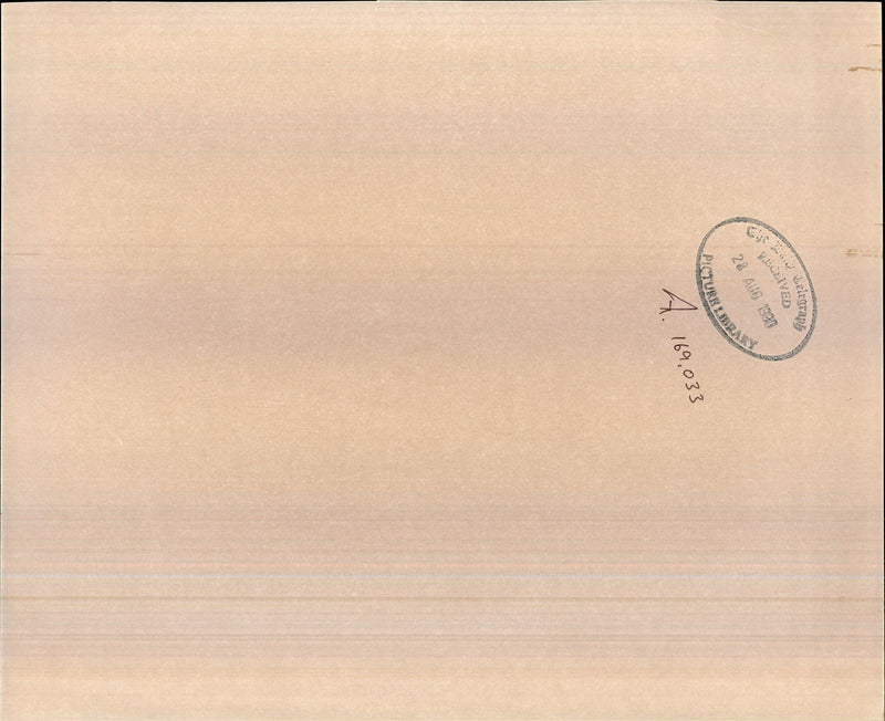 BLUES GUITARIST STEVIE VAUGHAN AND FOUR OTHER MUSICIANS WERE CONCERT - Vintage Photograph