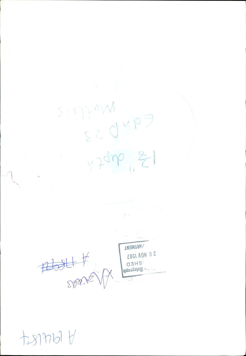 1987 CHRISTMAS COOKED HILL ONE FAMILYS CELE LAURIE LEE WHITE COUNTRY CONCERT - Vintage Photograph