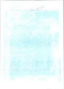 1991 MEMBERS ARMY - Vintage Photograph