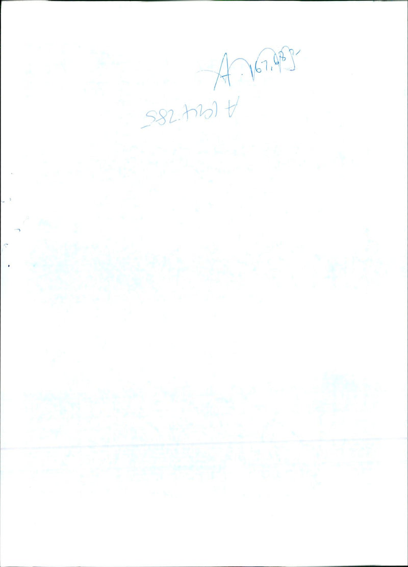 1991 NATIONAL MEMBER - Vintage Photograph