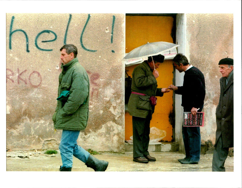1995 SALATEN LEAF PICTURE DESK PROOFING PRINTER DAVID BRENCHLEY WAR WRITER - Vintage Photograph