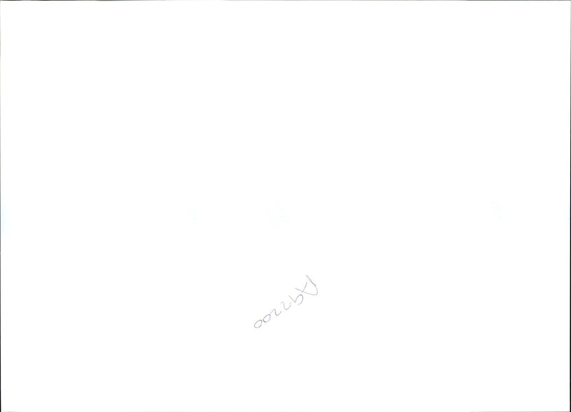 ALENA LINK WAS FOUND MURDERED HUMBERSIDE HER HUSBAND COMMITTED SUICIDE - Vintage Photograph