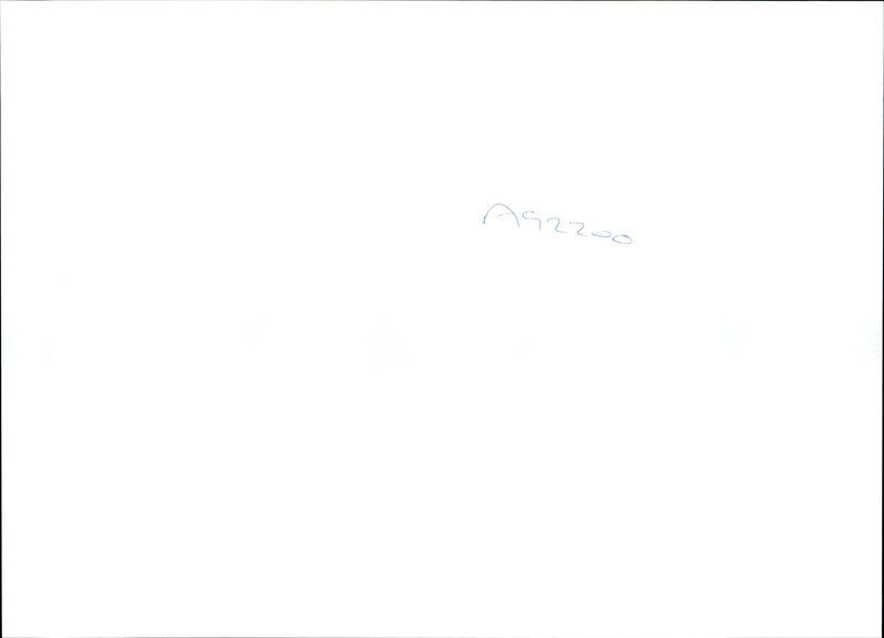 1995 ALANA LINK THOUGHT THE MURDER VICTIM HER HUSBANDS WIFE - Vintage Photograph