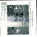 1995 ITIGH LNITED NATIONS INTO THE BUFFER TAKIS IOANNIDES TITLE WRITER COUNTRY - Vintage Photograph