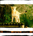 Ben Silcock - Vintage Photograph