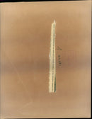 1988 POLICE ARRIVES MEMBERS SECOND - Vintage Photograph