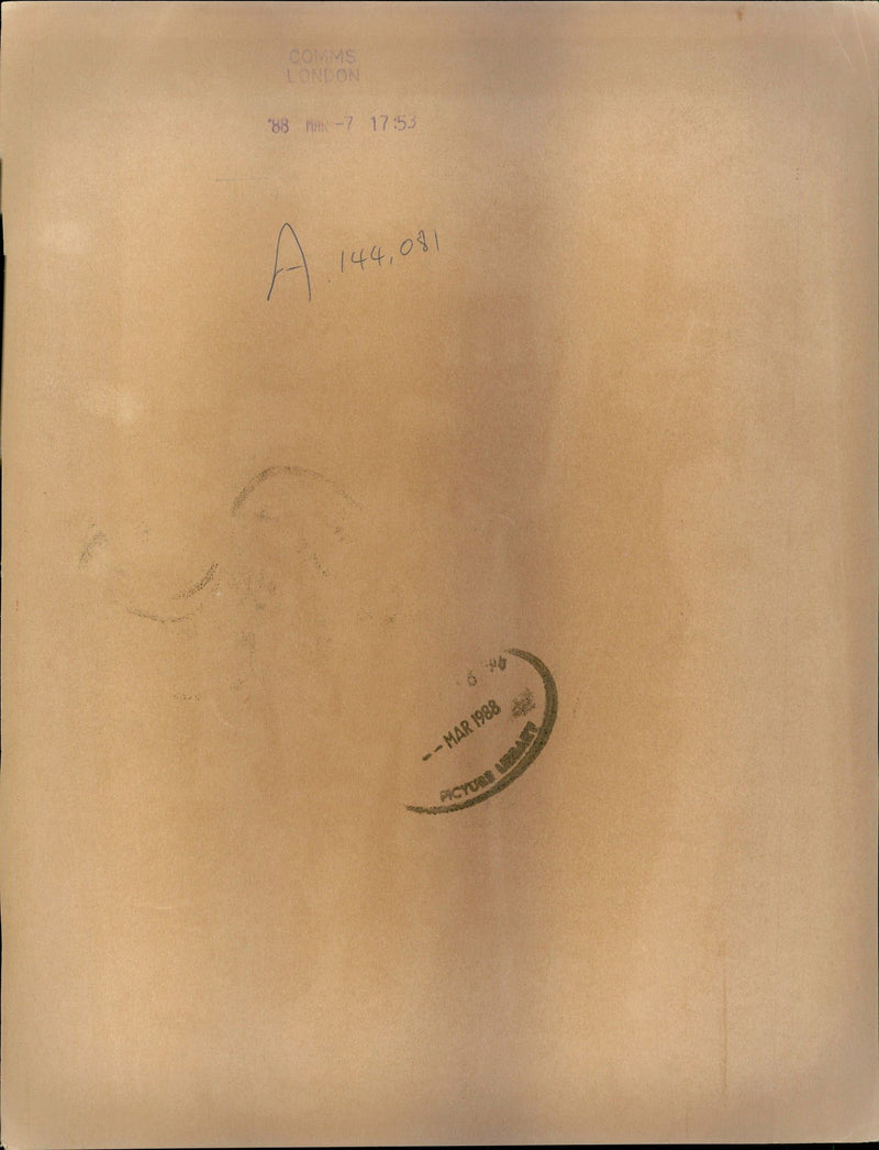 Bobby and two British Army soldiers - Vintage Photograph