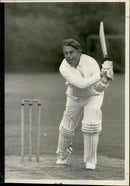 David Owen - Vintage Photograph