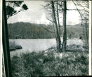 Lake District: Bowness on Windermer - Vintage Photograph