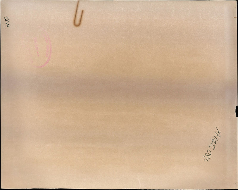 1988 AMSTERDAMS FAMOUS CONCERTGEBOUW CELEBRATED ITS VEAR BARBARA WALTON MUSIC - Vintage Photograph