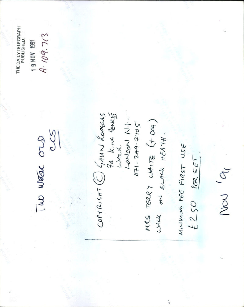 Terry Waite - Vintage Photograph