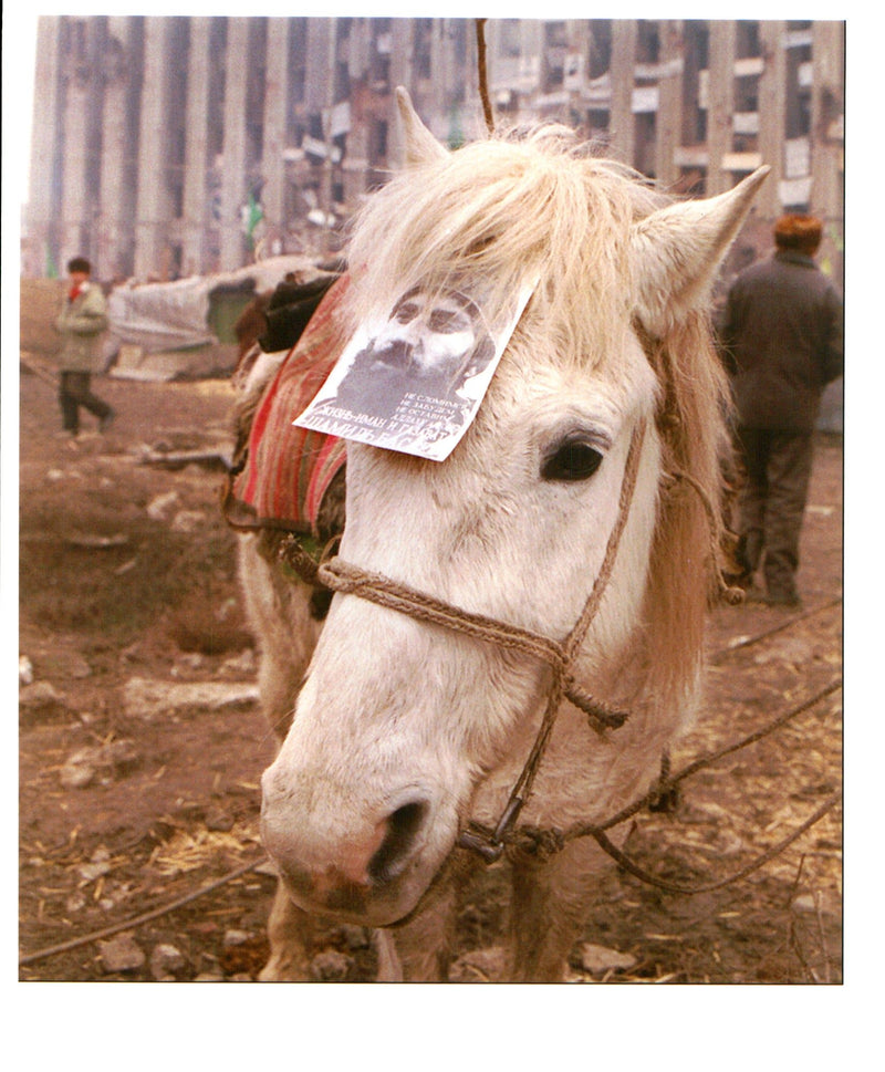 1996 AND LEAF PICTURE DESK PROOFING WRITER RUSSIAN PRESIDENT TITLE PALACE - Vintage Photograph