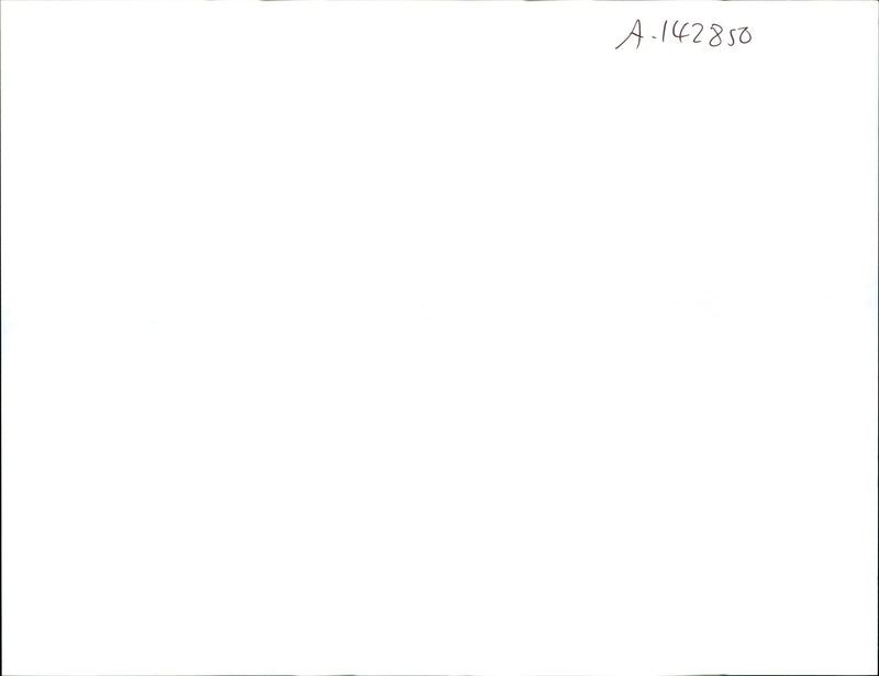 1992 GOX SAN DIEGO MAY PRE RACE MANUEVERING AMERICA LOWER LEFT LENNY IGNELZI - Vintage Photograph