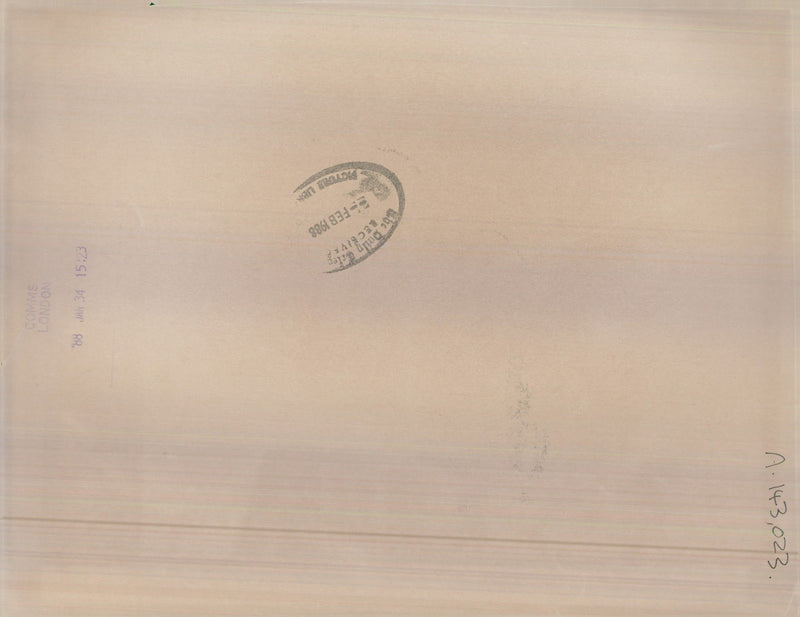 1988 FEB WIFE PRESS SONGWRITER GERMAN - Vintage Photograph