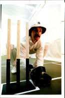 Jack Russell - Vintage Photograph