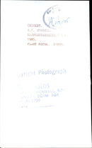 Jack Russell - Vintage Photograph