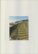 0ld stvle terracing - Vintage Photograph