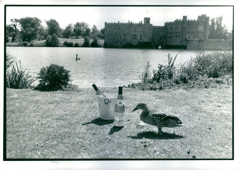 Wine Festival at Leeds Castle - Vintage Photograph