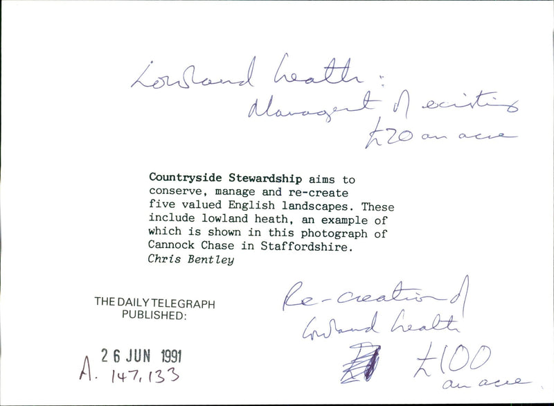 Landscapes - Vintage Photograph