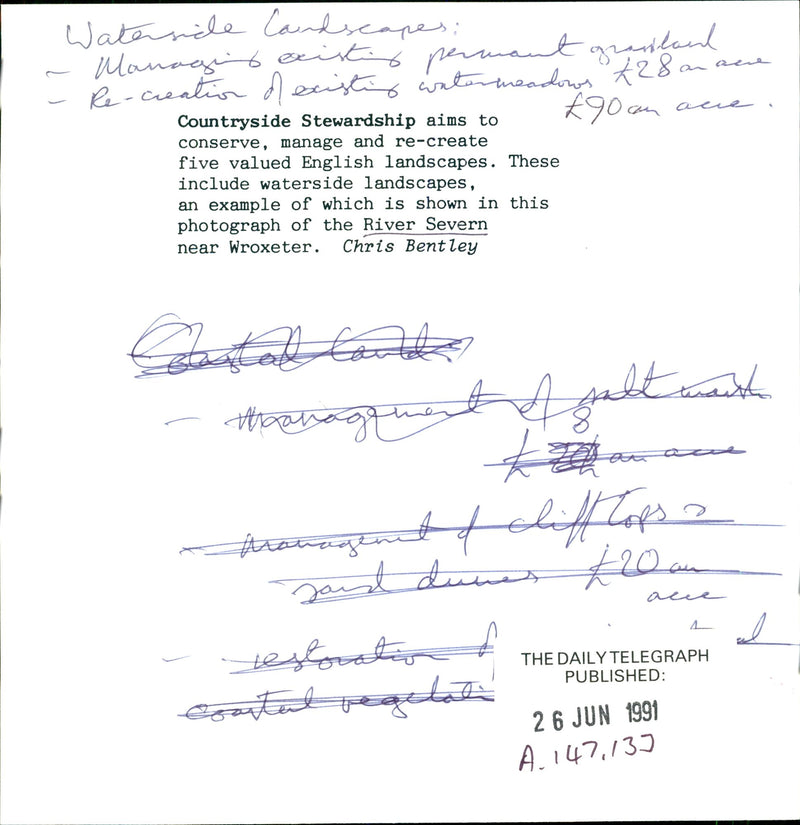 Landscapes - Vintage Photograph