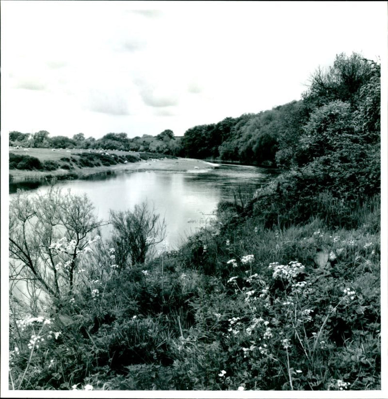 Landscapes - Vintage Photograph