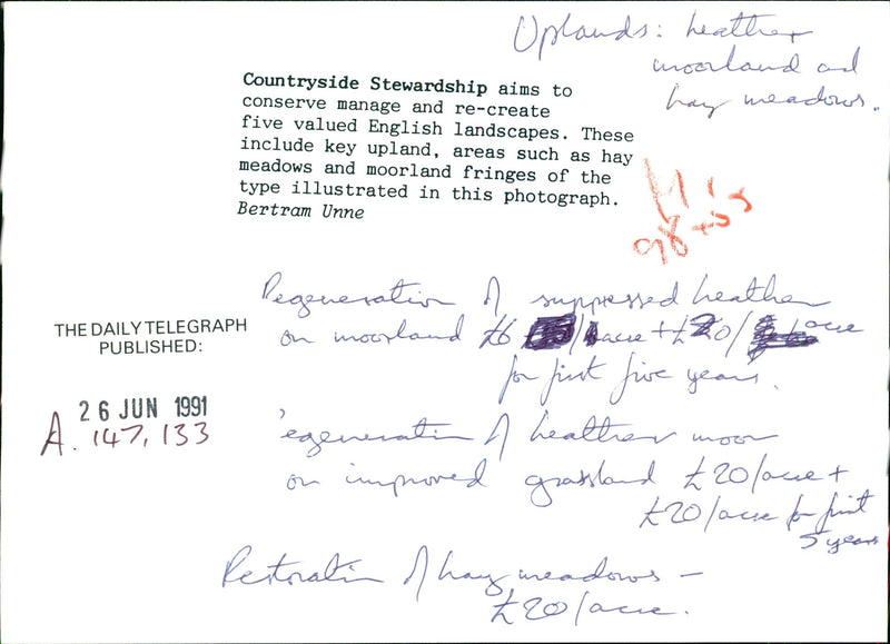 Landscapes - Vintage Photograph