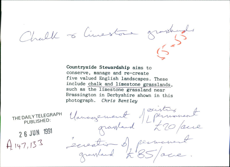 Landscapes - Vintage Photograph