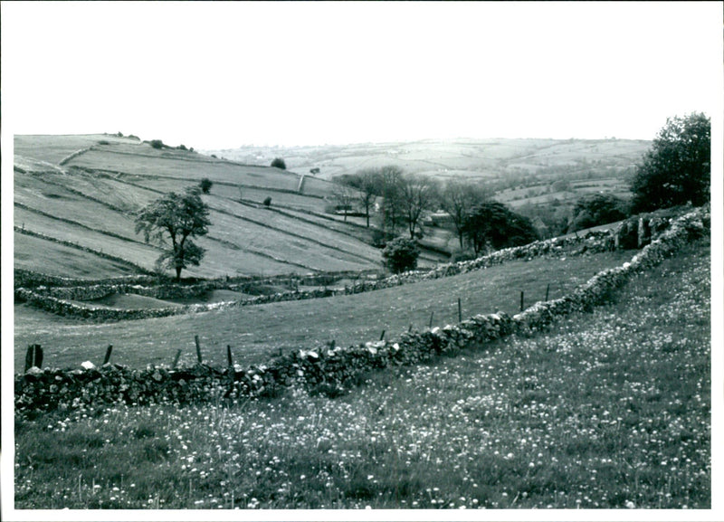 Landscapes - Vintage Photograph