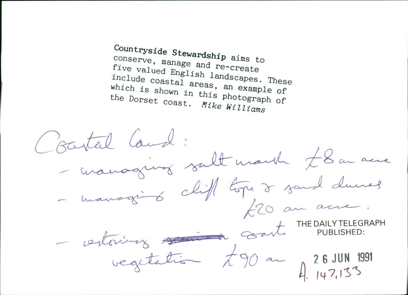 Landscapes - Vintage Photograph