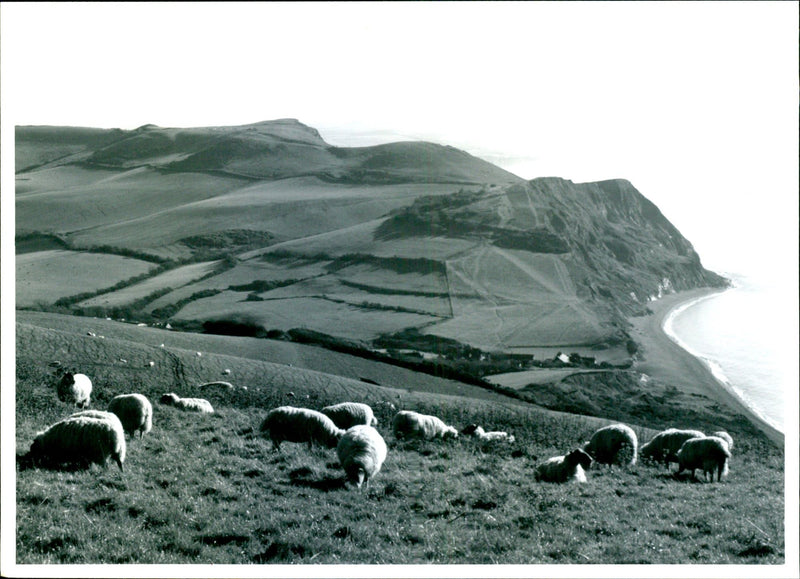 Landscapes - Vintage Photograph