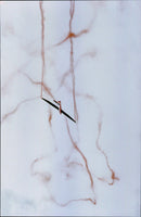 1993 NAK ROSELLS BISSON MAH SUROEL PINATUS OLA DATE SUBJECT AIR MUSIC - Vintage Photograph