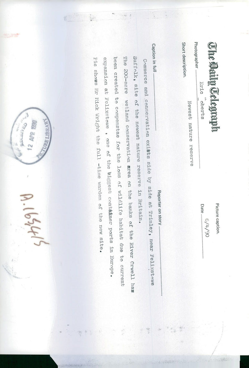 1990 PICTURE CAPTION THE DAILY TELEGRAPH NEWEST NATURE MICK WRIGHT BRITAIN - Vintage Photograph