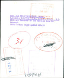 Robertson Baron and his wife - Vintage Photograph