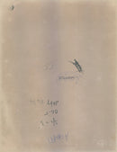 Gereral of the Army Omar N. Bradley - Vintage Photograph