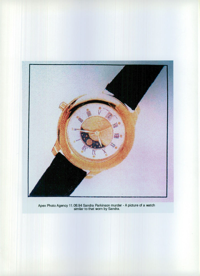 1994 APEX PHOTO AGENCY SANDRA PARKINSON MURDER PICTURE WATCH SIMILA - Vintage Photograph