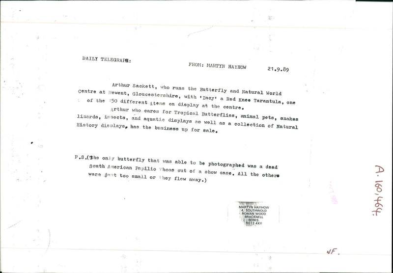 Arthur Sackett - Vintage Photograph