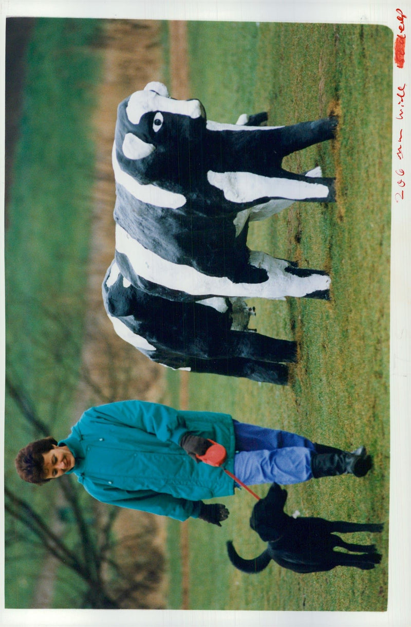 Bucks Milton Kenes - Vintage Photograph