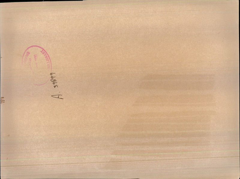 Nicolae Ceausescu - Vintage Photograph