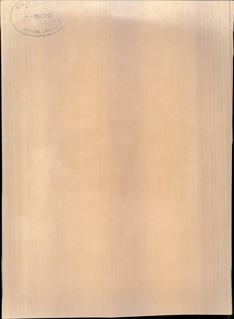 Nicolae Ceausescu - Vintage Photograph