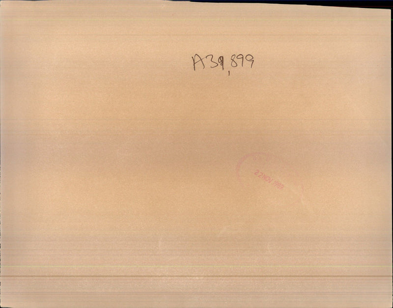 Nicolae Ceausescu - Vintage Photograph