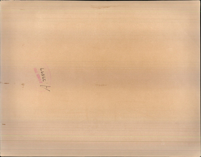 Nicolae Ceausescu - Vintage Photograph