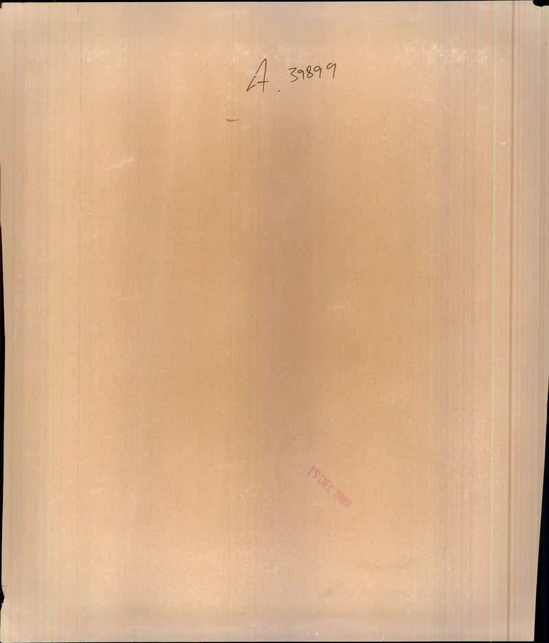 Nicolae Ceausescu - Vintage Photograph