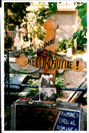 Nicolae Ceausescu - Vintage Photograph