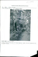 Nicolae Ceausescu - Vintage Photograph