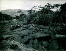 Ireng River Boundary between British Guiana and Brazil - Vintage Photograph