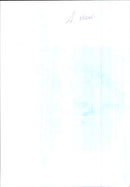 Celebration continue at the Quli family home - Vintage Photograph