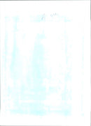 Poul Nyrup Rasmussen and his wife Lone Dybkjaer - Vintage Photograph