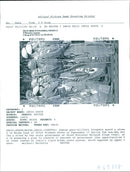 India: Army - Vintage Photograph