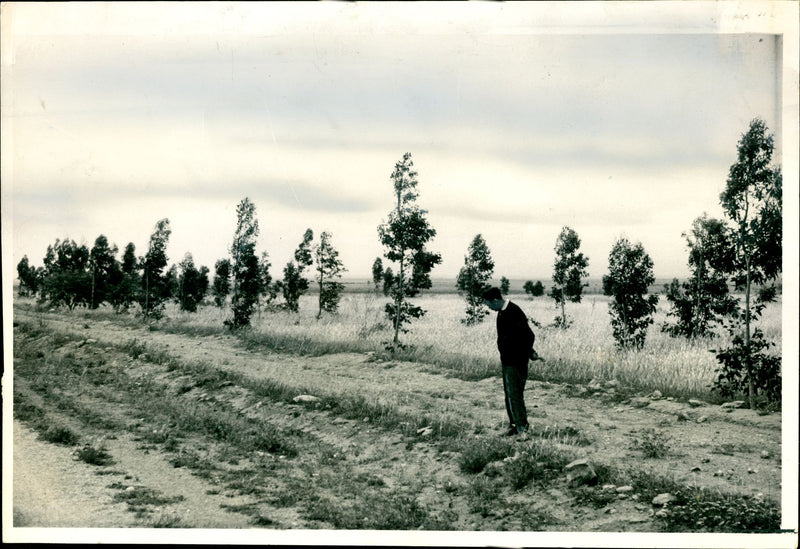 Africa Views of Sahara - Vintage Photograph