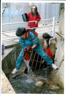 1995 MOST RESIDENTS ARE STILL WITHOUT UTILIT KOJI SASAHARA TITLE WRITER COUNTRY - Vintage Photograph